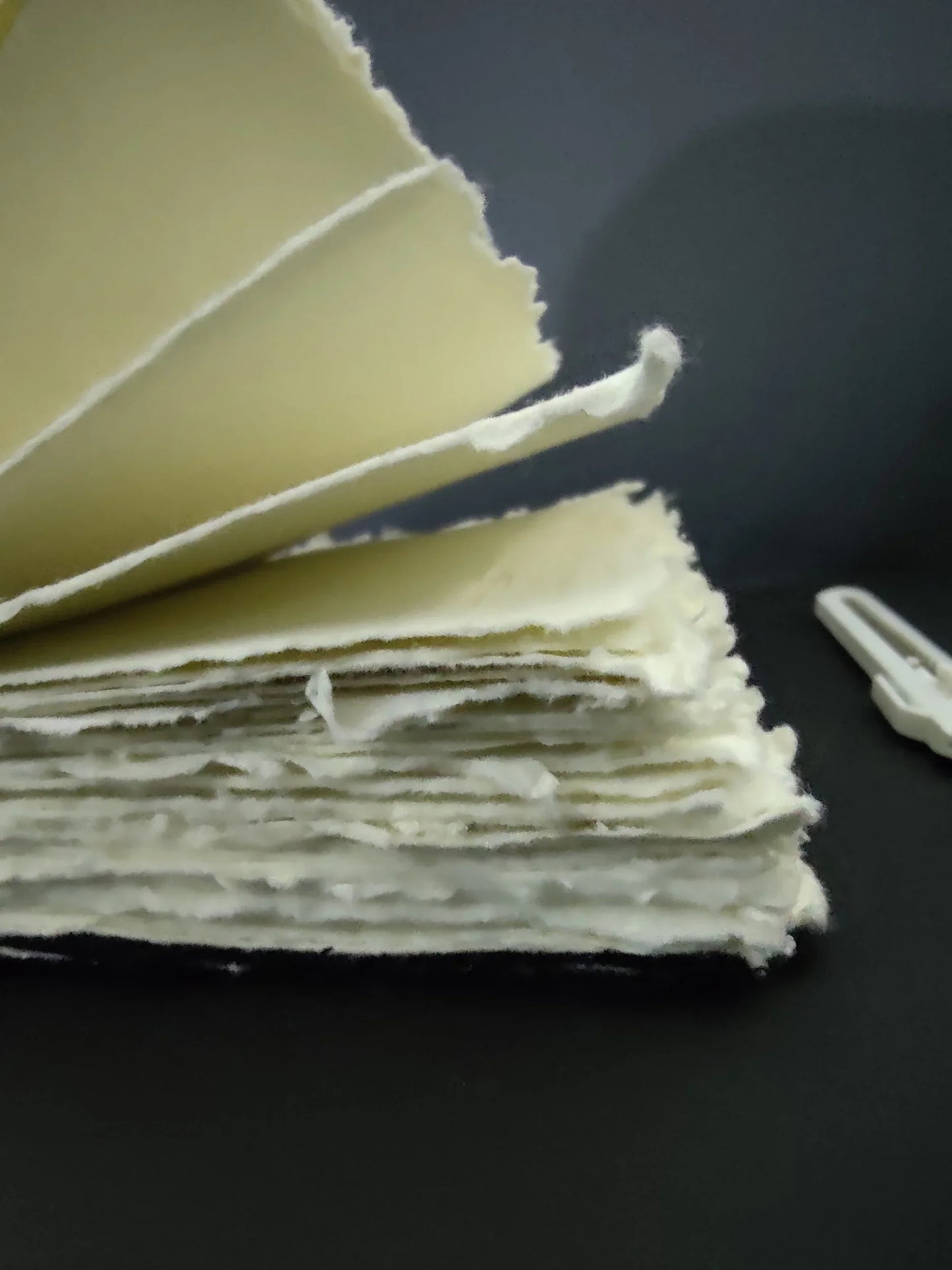 Carry me Journal