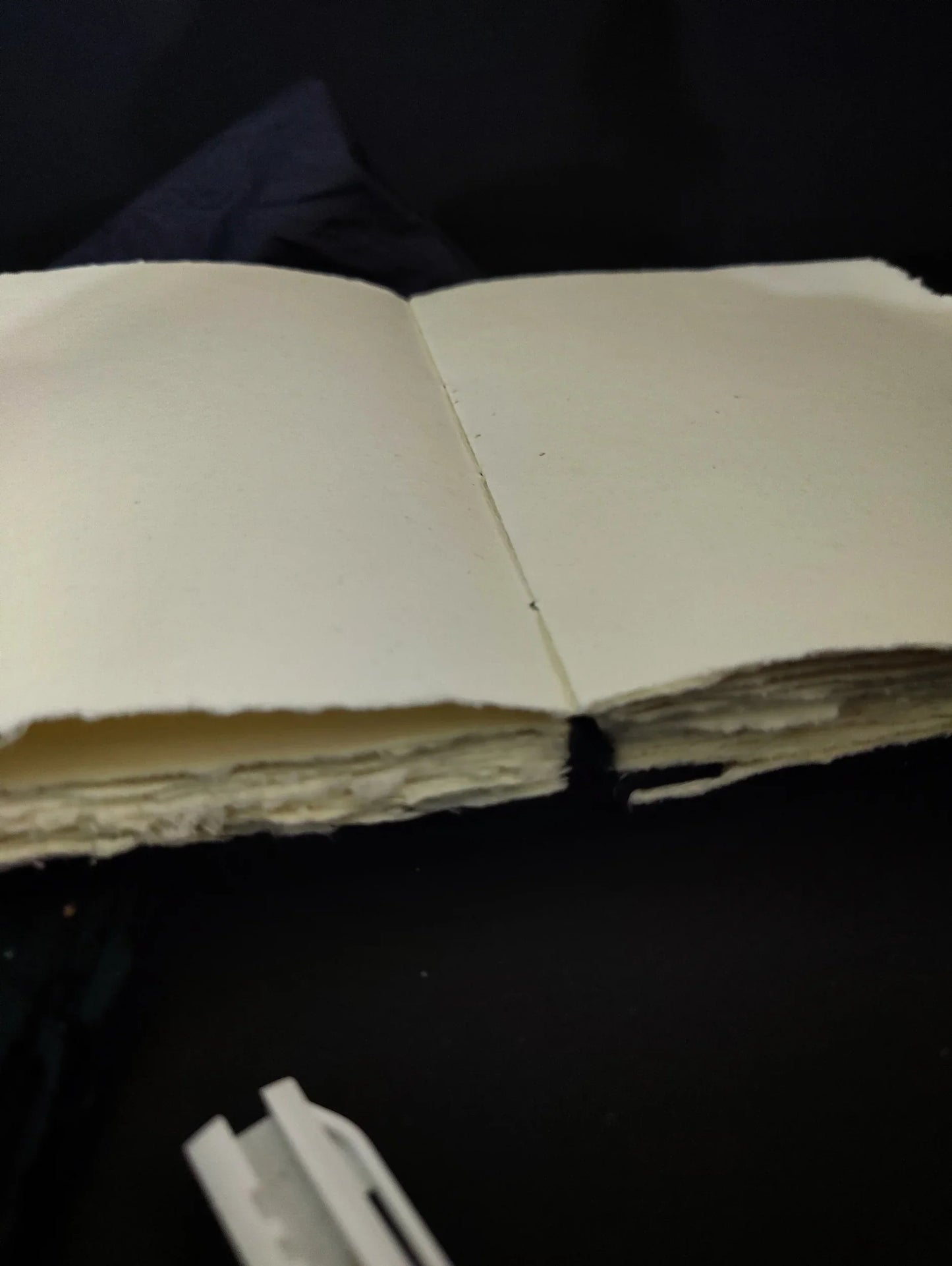 Carry me Journal