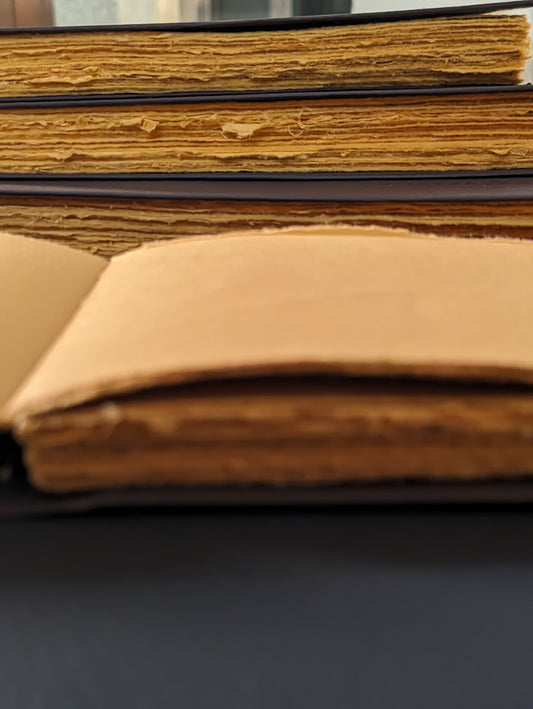 Landscape Leather like Cruelty free Leather feel Journal I Vegan